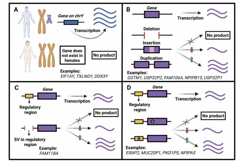 Switch-like gene expression modulates disease risk