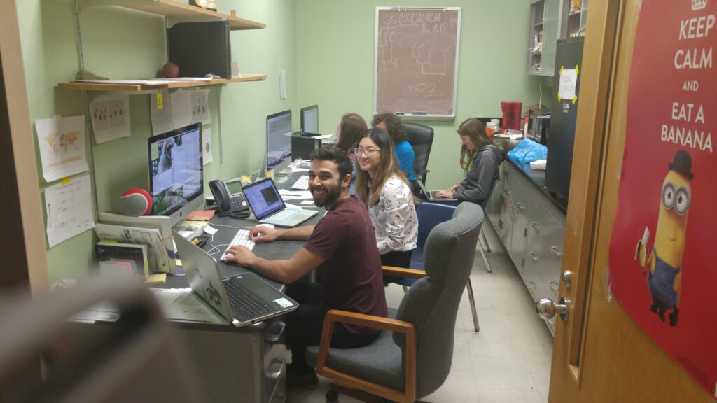 Lab members working at computers in the graduate student room
