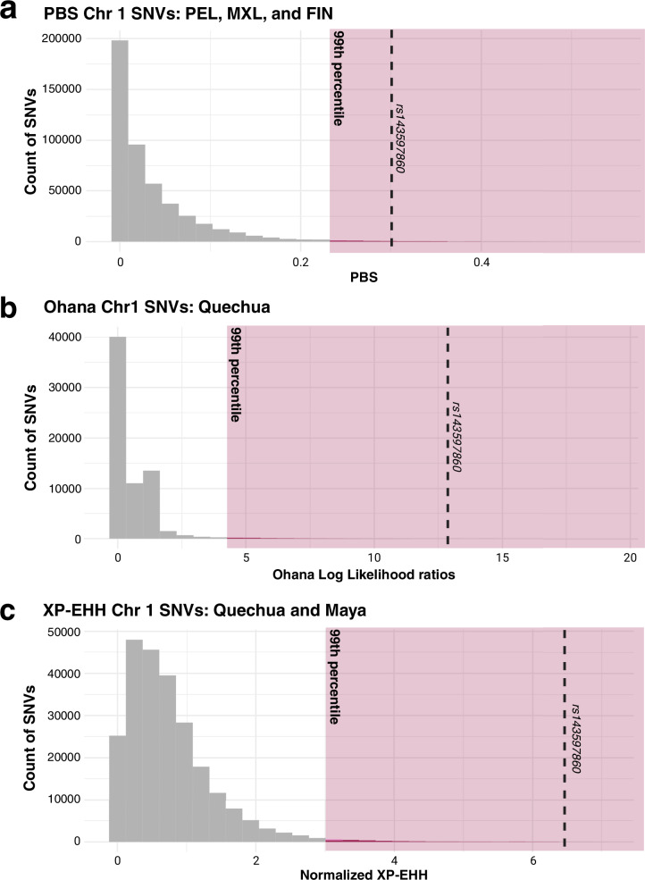 Figure from Scheer et al. 2026 on amylase gene copy number in Indigenous Andeans